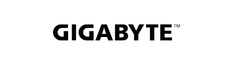 Gigabyte